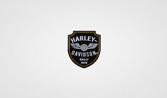 Harley-Davidson pin