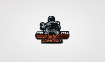 Harley-Davidson pin