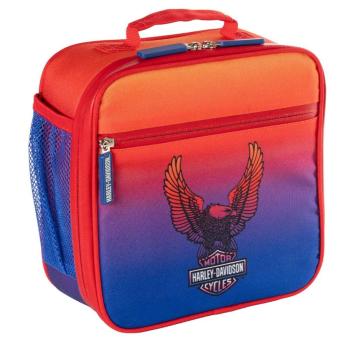 Harley-Davidson kids