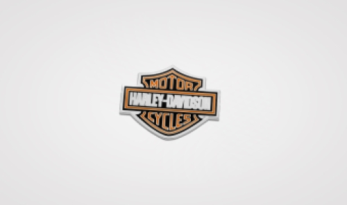 Harley-Davidson pin