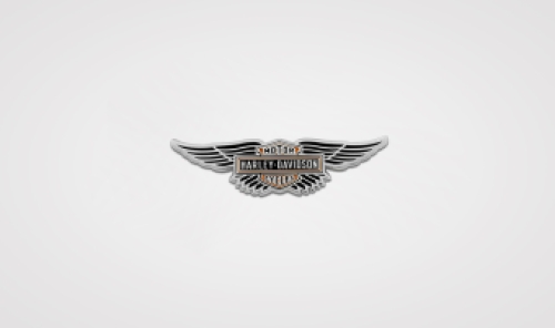 Harley-Davidson pin