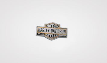 Harley-Davidson pin