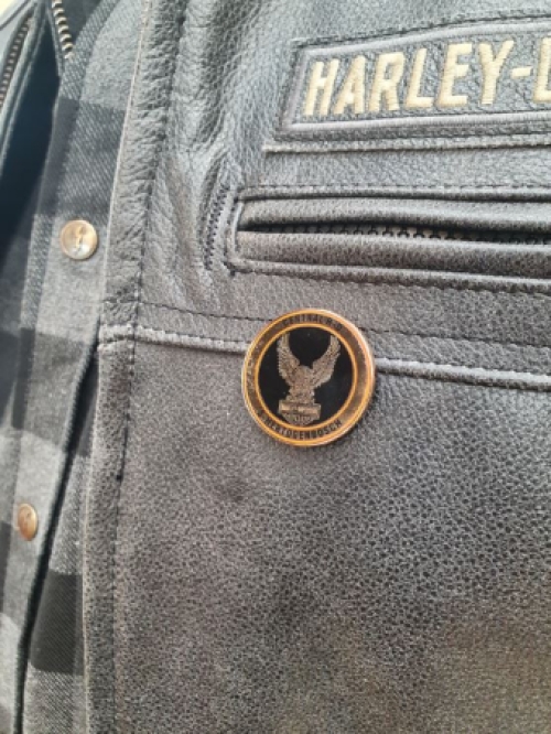 Harley-Davidson pin