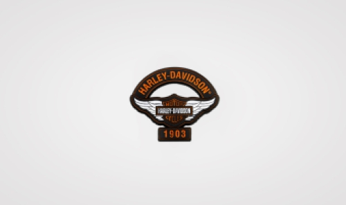 Harley-Davidson pin