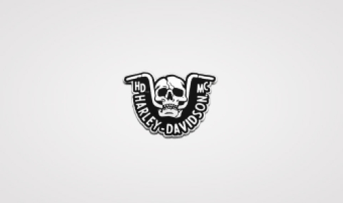 Harley-Davidson pin