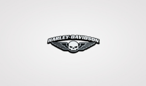 Harley-Davidson pin