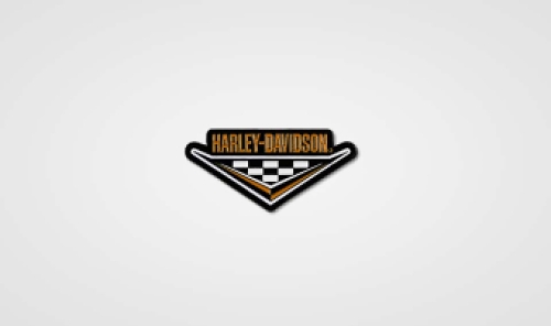 Harley-Davidson pin