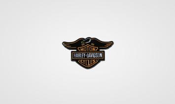 Harley-Davidson pin