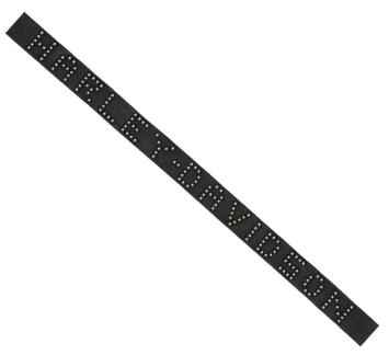 Harley-Davidson® Riem